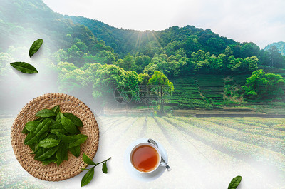 茶文化之美 正版创意图片素材的深层解读
