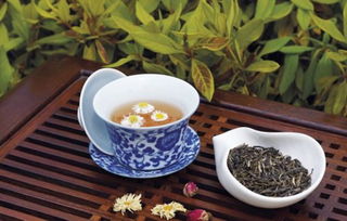 花与茶 每次相遇都是一场邂逅